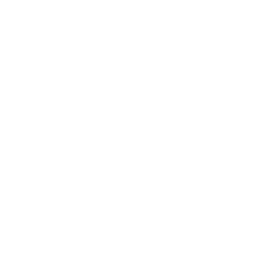 Berghoff toys